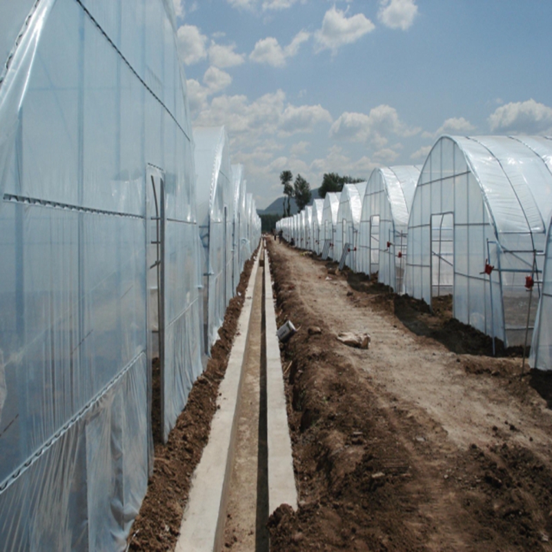 Greenhouse Plastic Film - Folia do szklarni rolniczych o grubości