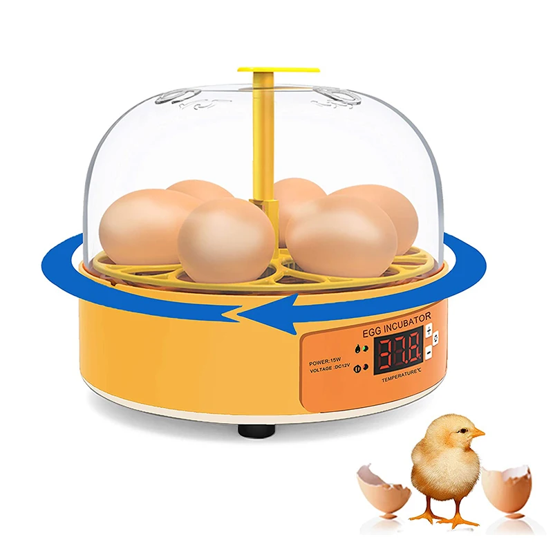 Quail Egg Incubator - Inkubator do hodowli kur, kaczek, gęsi,