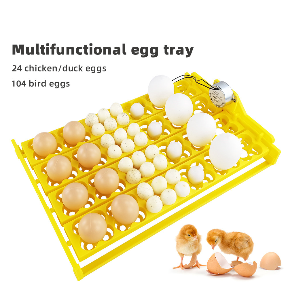 Quail Egg Incubator - 24 szt. Taca inkubatora jaj automatyczna