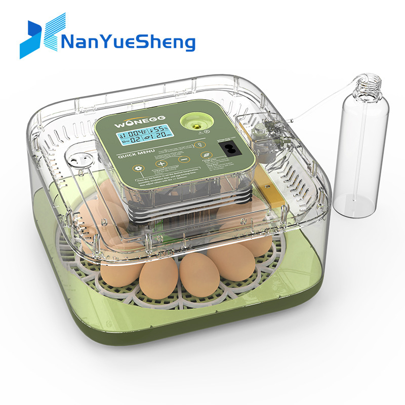 Quail Egg Incubator - Nowa 12-kurczakowa inkubator do jaj, kurytka,