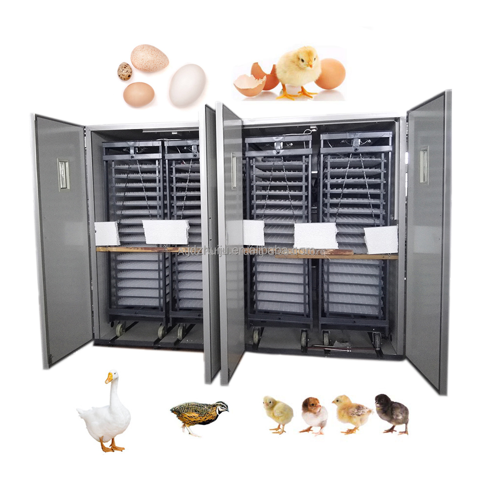 Inkubator do jaj o dużej pojem – Quail Egg Incubator recenzja i cena
