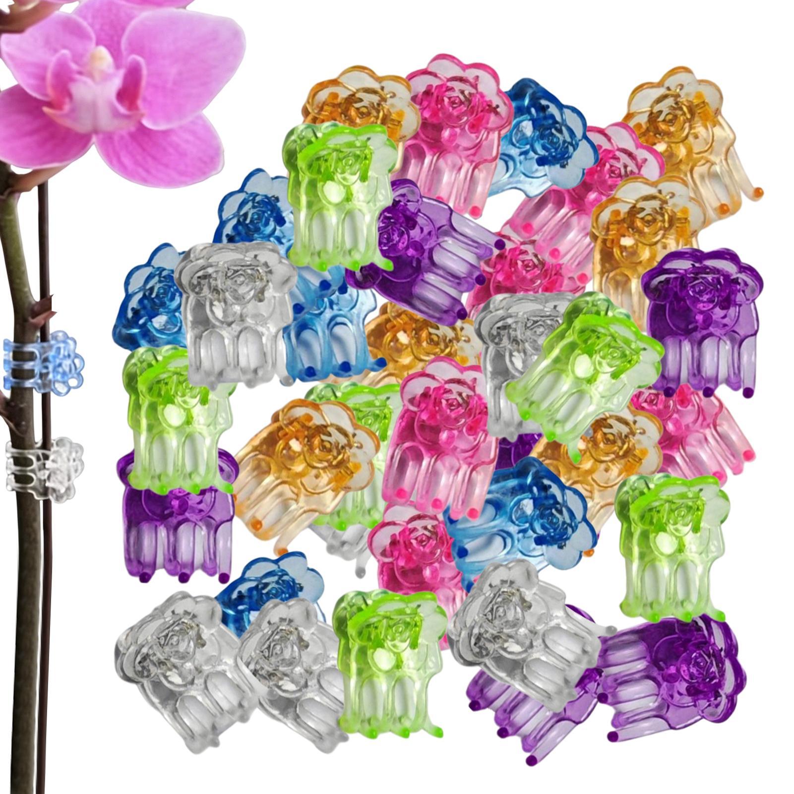 Klipsy do orchidei 60 sztuk, k – Greenhouse Plastic Film recenzja i cena
