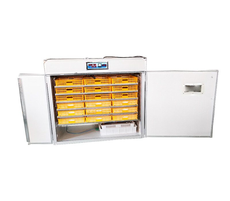 Sterownik do w pełni automatyc – Quail Egg Incubator recenzja i cena