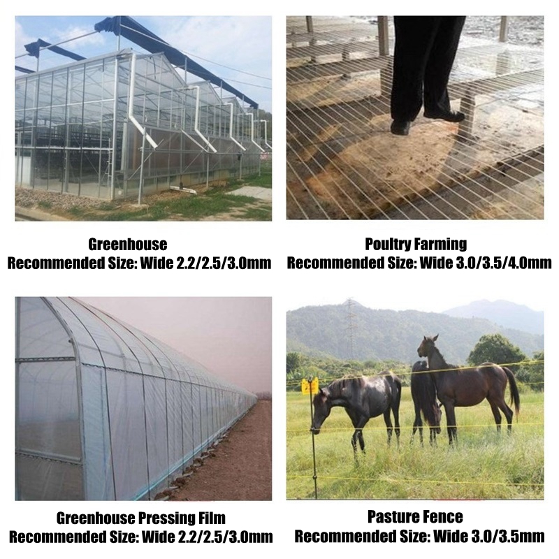 50m Plastikowy Drut Stalowy do – Greenhouse Plastic Film recenzja i cena