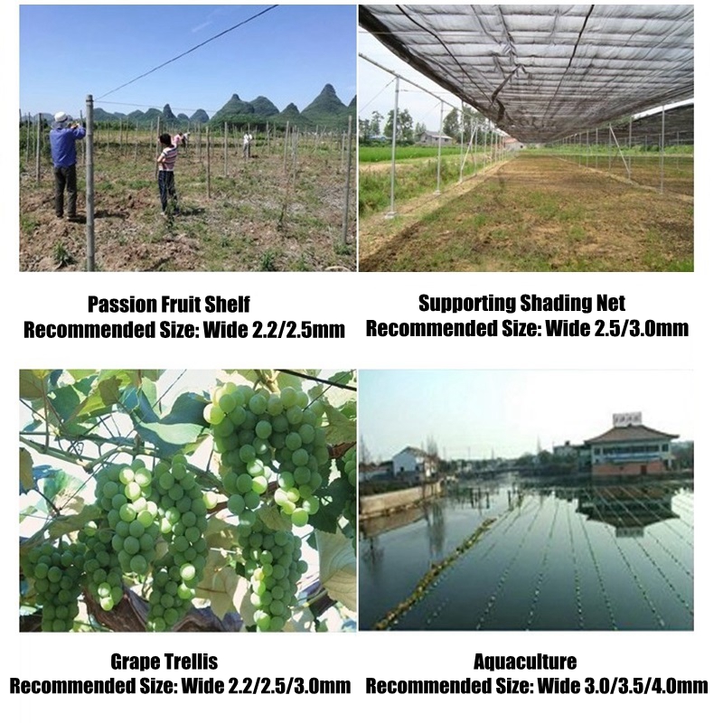 50m Plastikowy Drut Stalowy do – Greenhouse Plastic Film recenzja i cena
