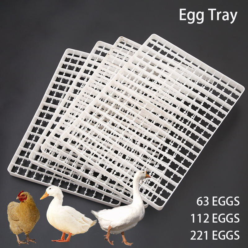 1 szt. Taca na jajka do inkuba – Quail Egg Incubator recenzja i cena