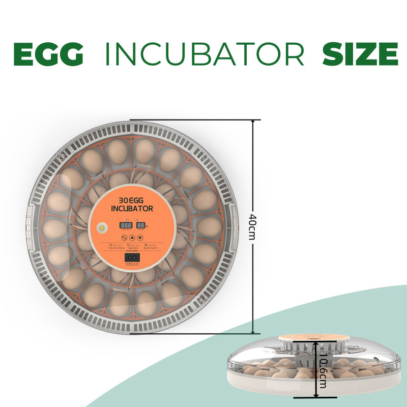 Inkubator STLF30 do użytku dom – Quail Egg Incubator recenzja i cena