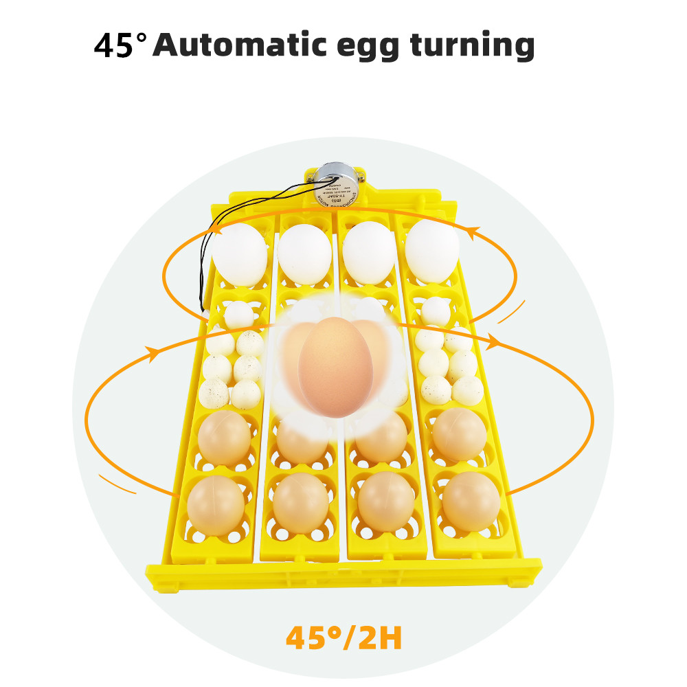 24 szt. Taca inkubatora jaj au – Quail Egg Incubator recenzja i cena