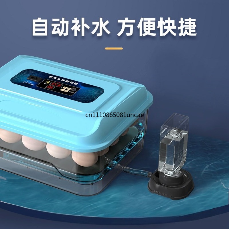 Inteligentny inkubator do jaj  – Quail Egg Incubator recenzja i cena