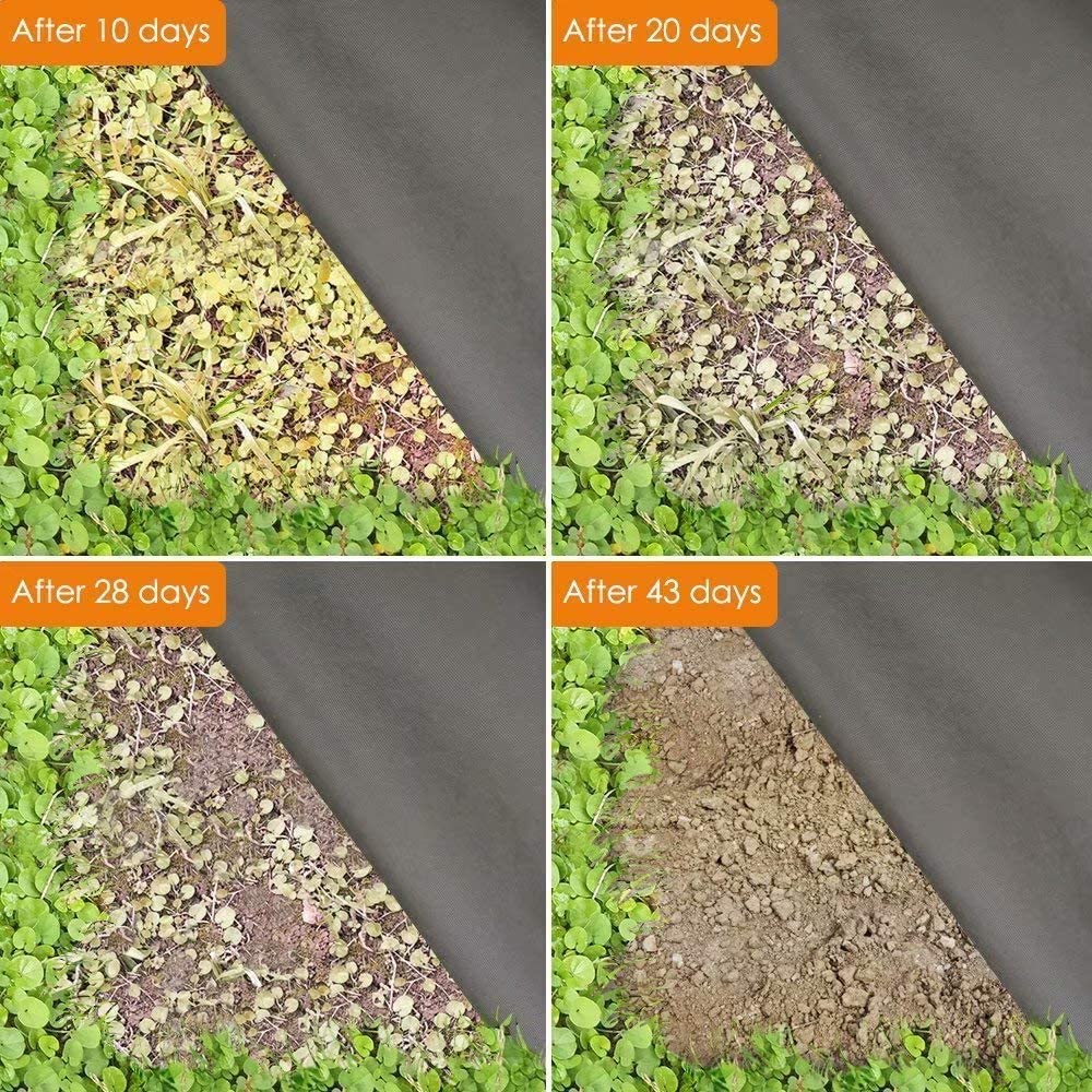 Wysokiej jakości tkanina krajo – Greenhouse Plastic Film recenzja i cena