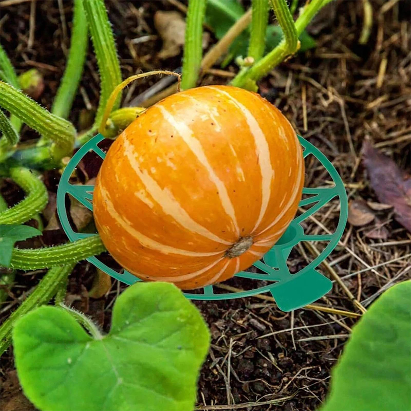 Podpórka do arbuza Zaopatrzeni – Greenhouse Plastic Film recenzja i cena