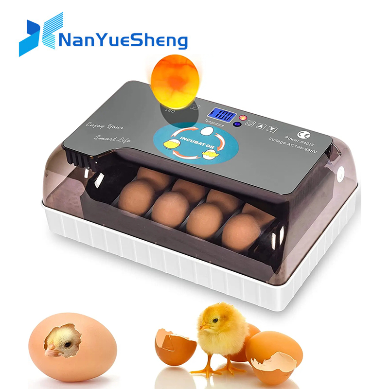 Automatyczna HHD Najlepsza cyf – Quail Egg Incubator recenzja i cena