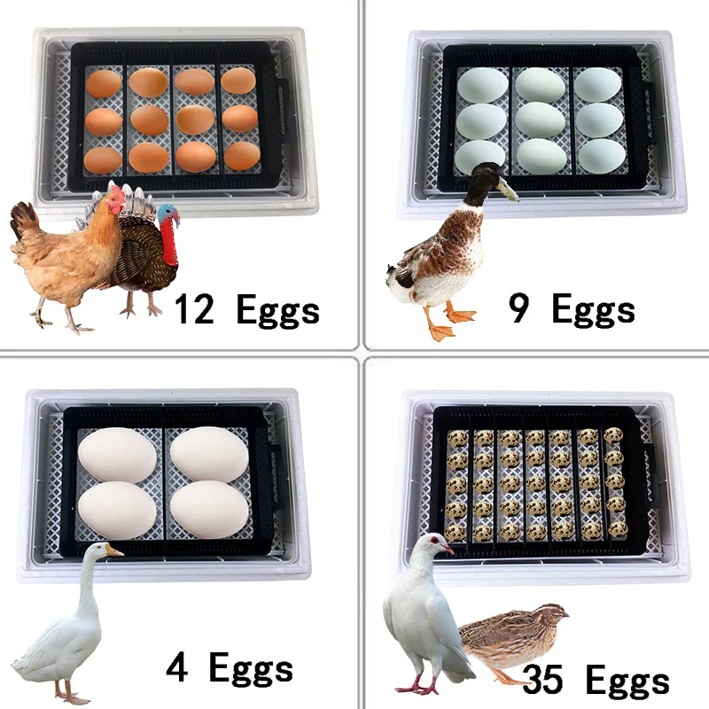 Automatyczna HHD Najlepsza cyf – Quail Egg Incubator recenzja i cena