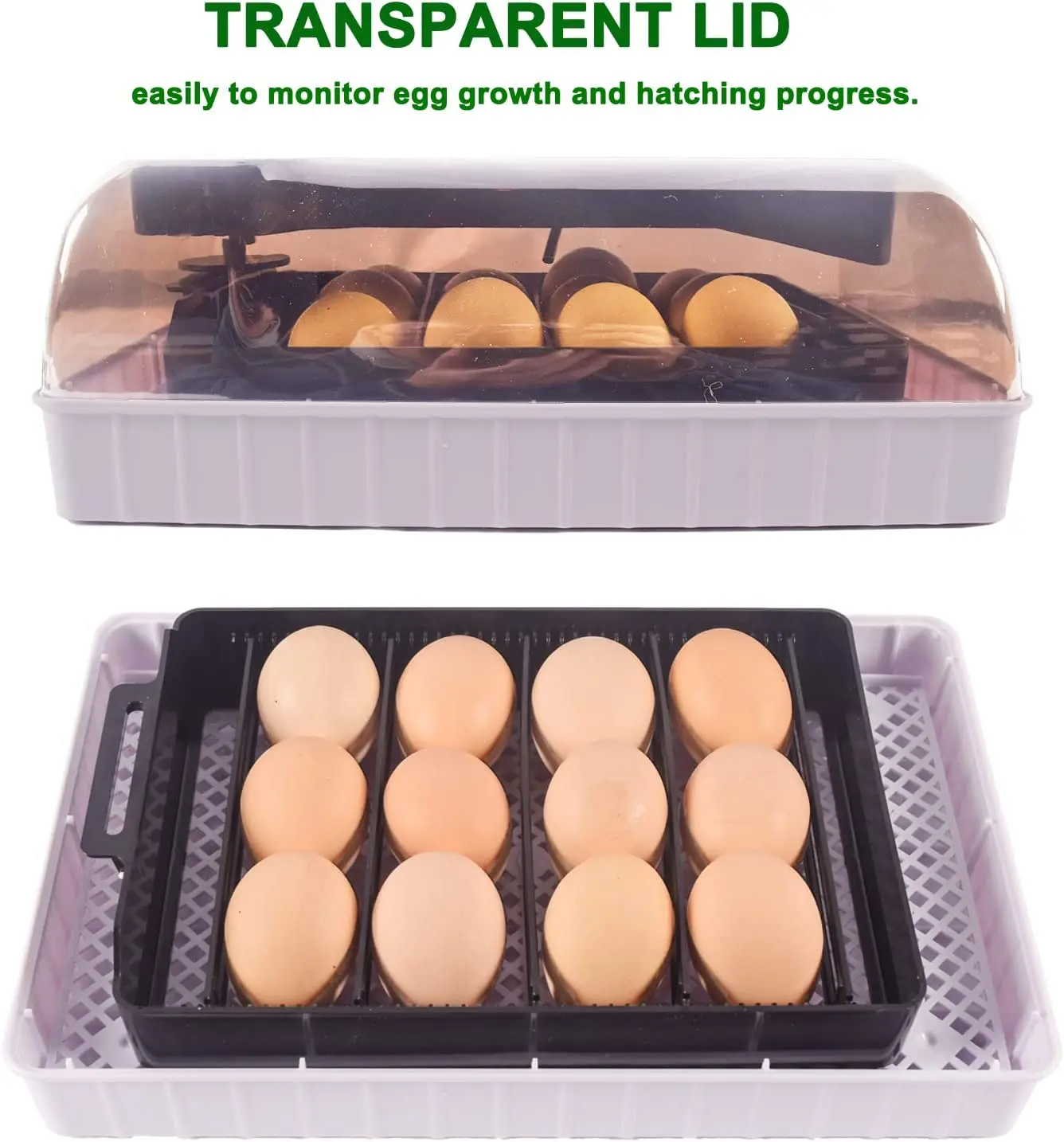 Automatyczna HHD Najlepsza cyf – Quail Egg Incubator recenzja i cena