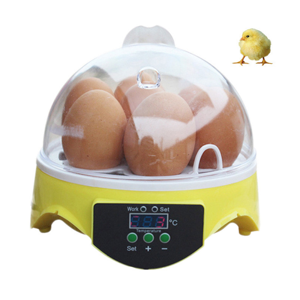 7-jajowy, półautomatyczny inku – Quail Egg Incubator recenzja i cena