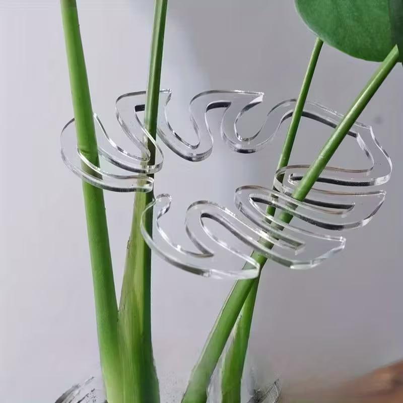 10 sztuk przezroczystych, elas – Greenhouse Plastic Film recenzja i cena