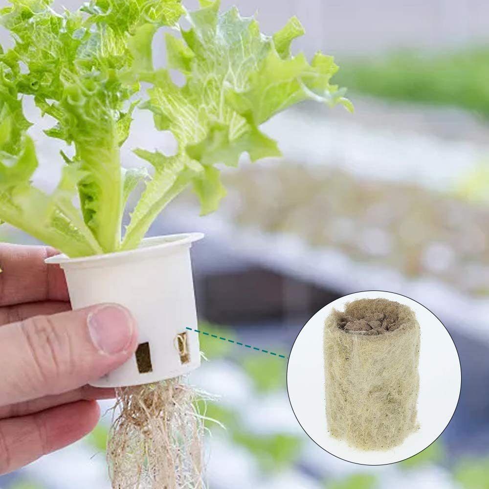 50 sztuk bloków do hydroponiki – Nursery Plug Tray recenzja i cena