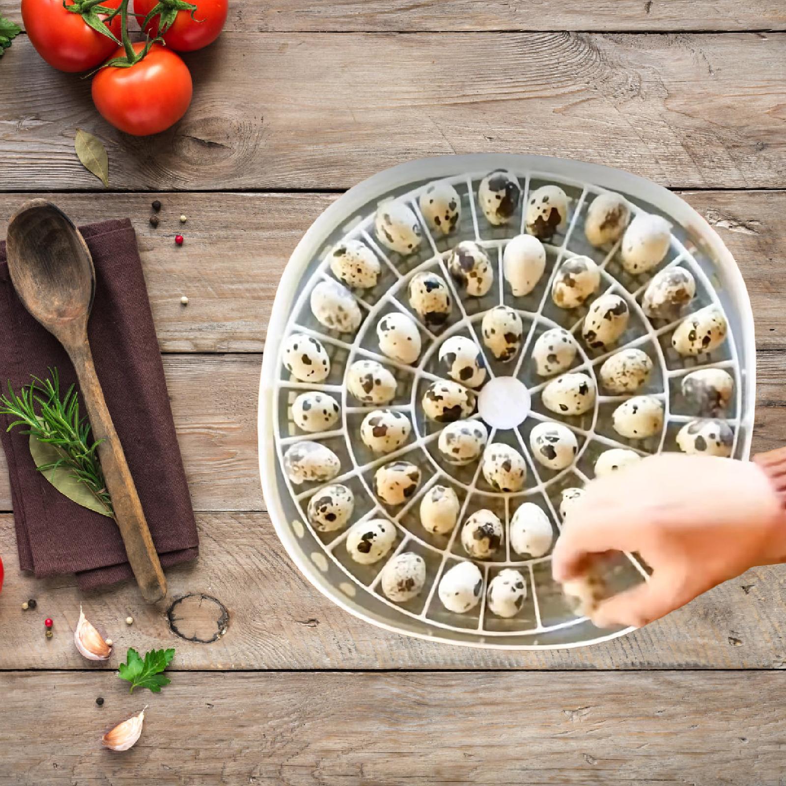 Taca na jajka przepiórcze, poj – Quail Egg Incubator recenzja i cena