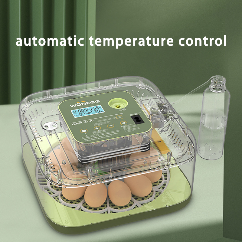 Nowa 12-kurczakowa inkubator d – Quail Egg Incubator recenzja i cena