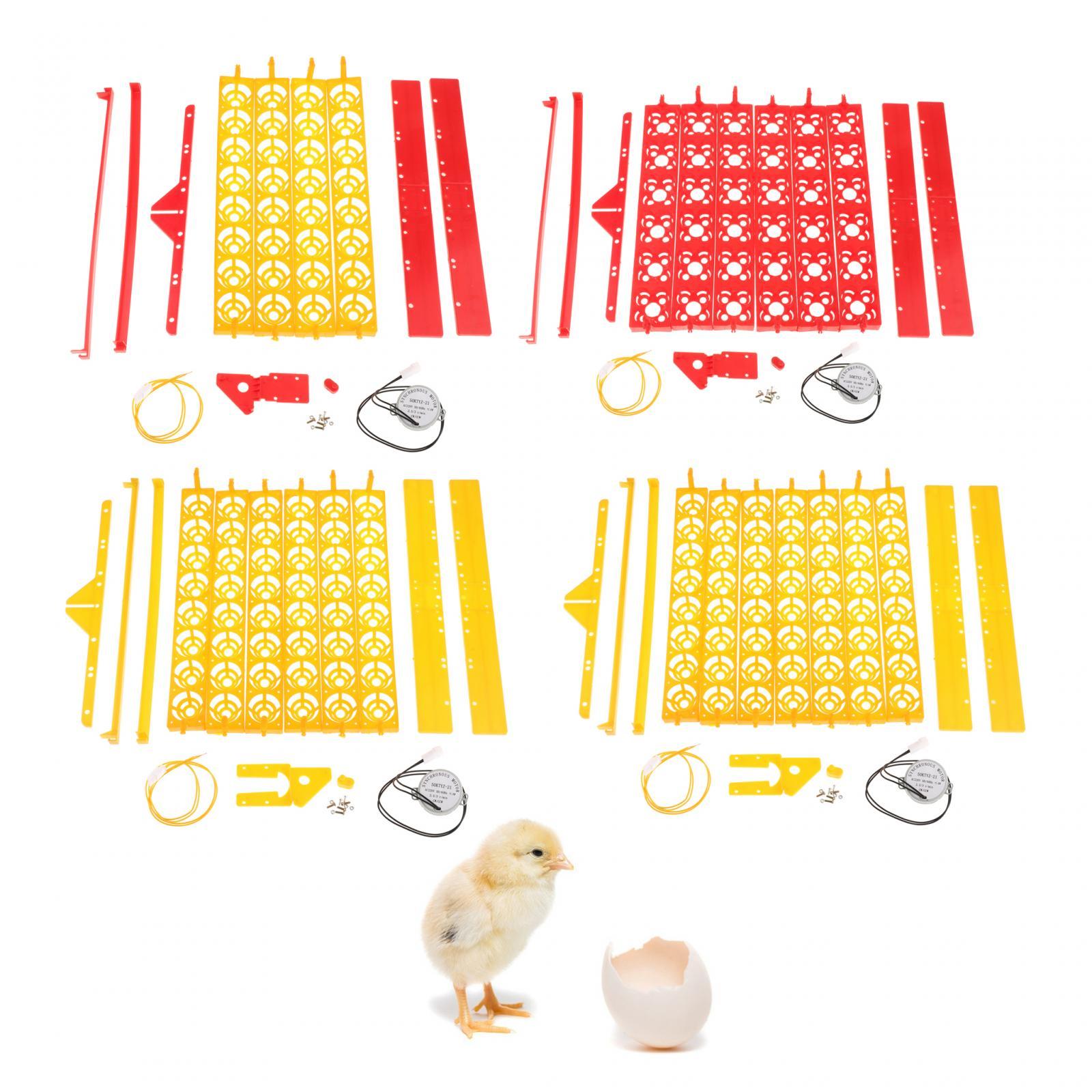 Automatyczna taca do inkubator – Quail Egg Incubator recenzja i cena